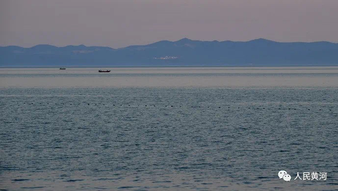 2C74492A-B9A9-4774-9068-10C8F96D63A5.jpeg 2C74492A-B9A9-4774-9068-10C8F96D63A5.jpeg